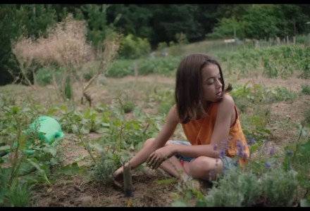 20 000 espèces d'abeilles