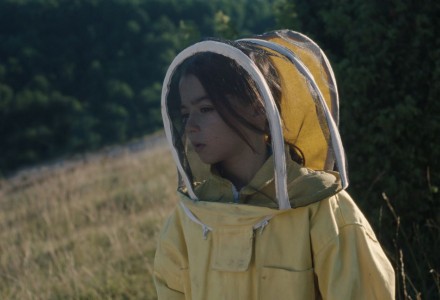 20 000 espèces d'abeilles