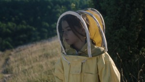 20 000 espèces d'abeilles