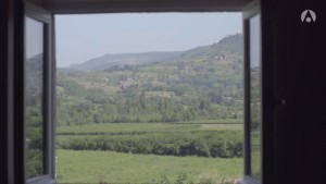 Ce qui est dangereux, c'est la fuite en avant