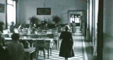 Asylum