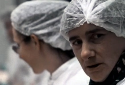 Les filles de la sardine