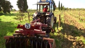 En quête du vin nature