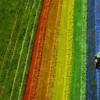 La Pride des champs